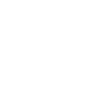 The logo of the law firm DreistStorgaard