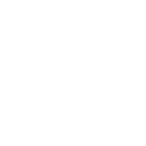 The logo of the law firm Lydian